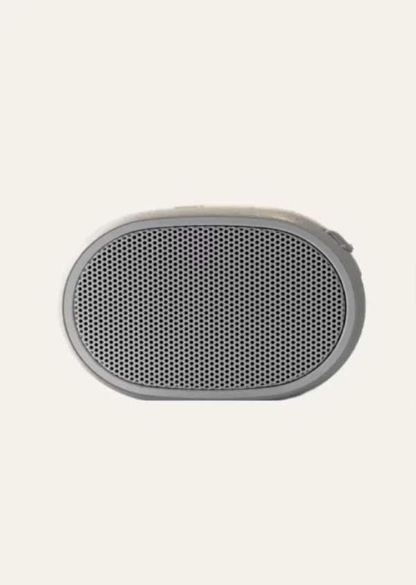 Portable Speaker